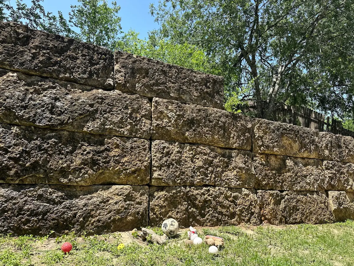 Limestone block retaining wall darkened by dirt, algae, and organic buildup before pressure washing.